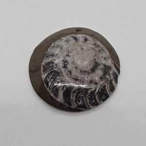 ammonite fossil pendant
